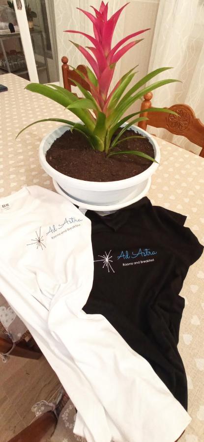 Ad Astra Bed & Breakfast